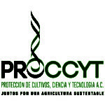 PROCCYT LogoCMYK-01